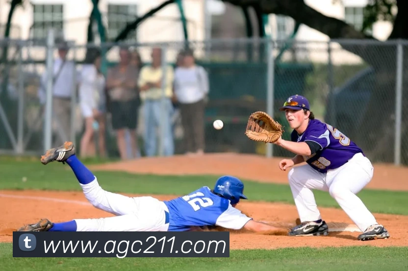电竞直播专区
